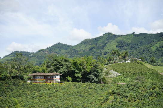 Paisaje Cultural Cafetero - Cortesía Procolombia